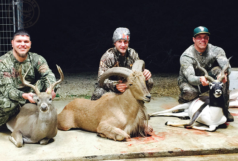 Blackbuck, Audad and Managed Whitetail Hunts in Texas